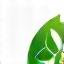Leaf and gear icon representing ecological harmony